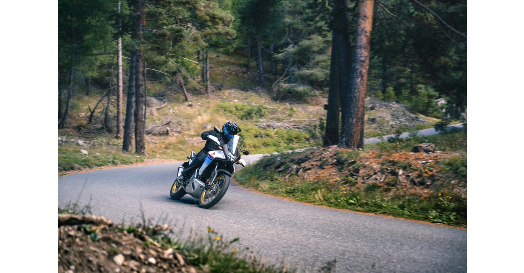honda_transalp_forest2332